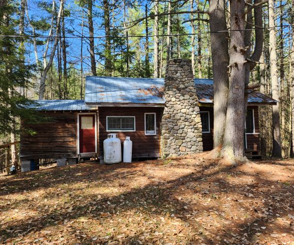 The Pine Tree cabin