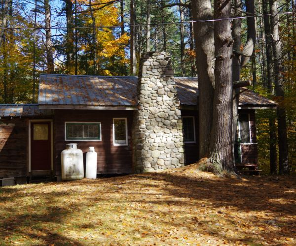 The Pine Tree cabin